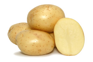 Seed Potato - Chaleur - Sold by the Pound