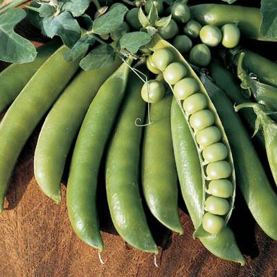 Lincoln Shelling Peas