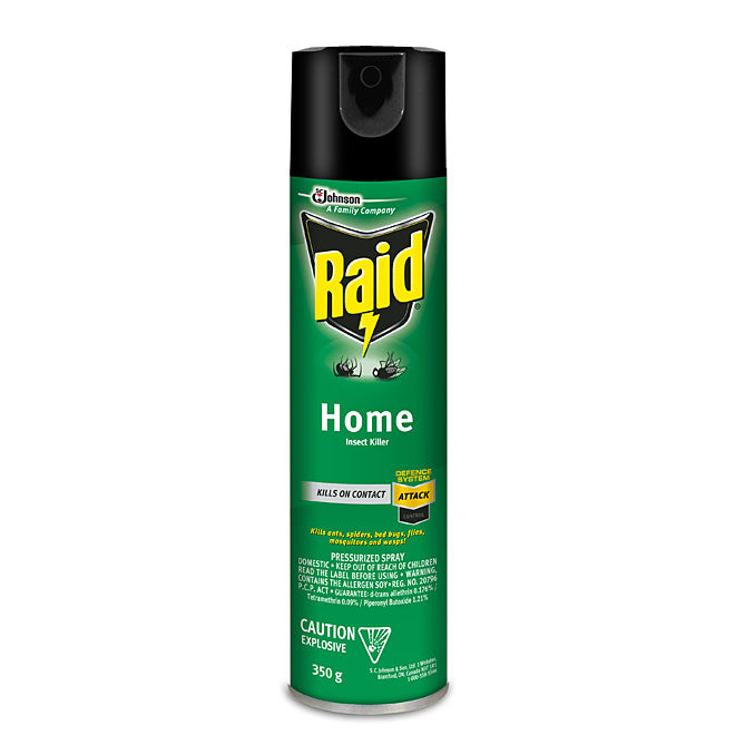 Raid Home Insect Killer 350g