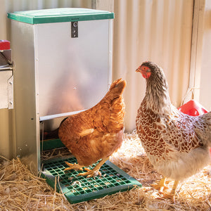 Feed-O-Matic Poultry Feeder - 17.5lb Capacity