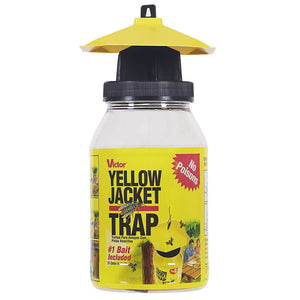 Victor wasp & Flying Insect Trap