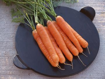 Bolero Hybrid Carrots