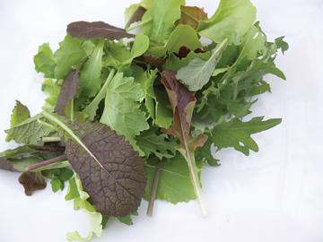 Health Kick Salad Blend