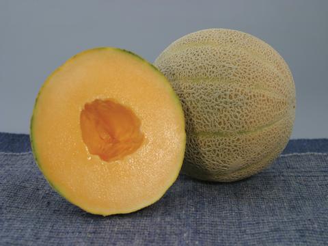 Earlichamp Melon (Muskmelon/cantaloupe)