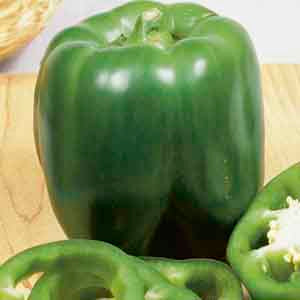 Sweet Peppers "Better Belle 3"