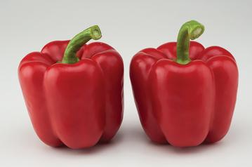 Red Knight Hybrid Bell Pepper