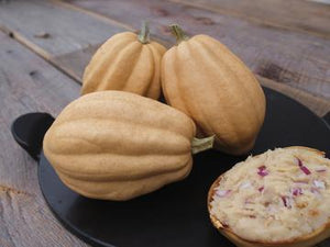Baked Potatoes Hybrid Squash