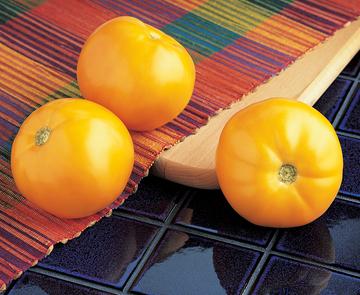 Carolina Gold Hybrid (Low Acid Tomato)