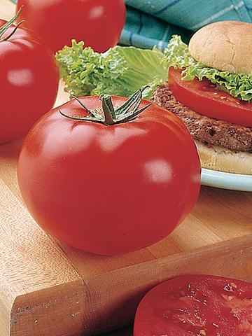 Big Beef Hybrid (Beefsteak Tomato)