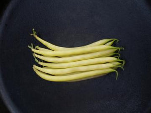 Goldrush Yellow Bean