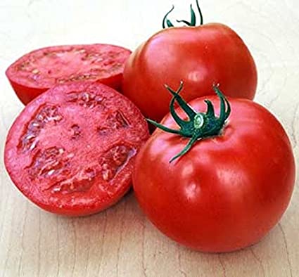 Tomato Plant - Balls Beefsteak