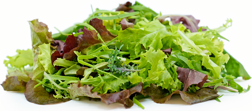 Mesclun Salad Mix