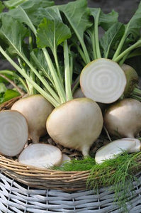 Avalanche White Beets