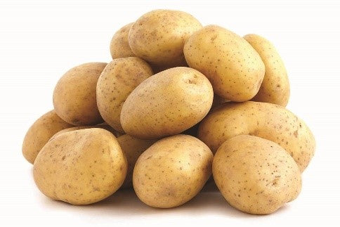 Seed Potato - Dakota Pearl - Sold by the Pound