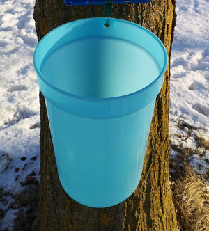 Sap Bucket 2 Gallon