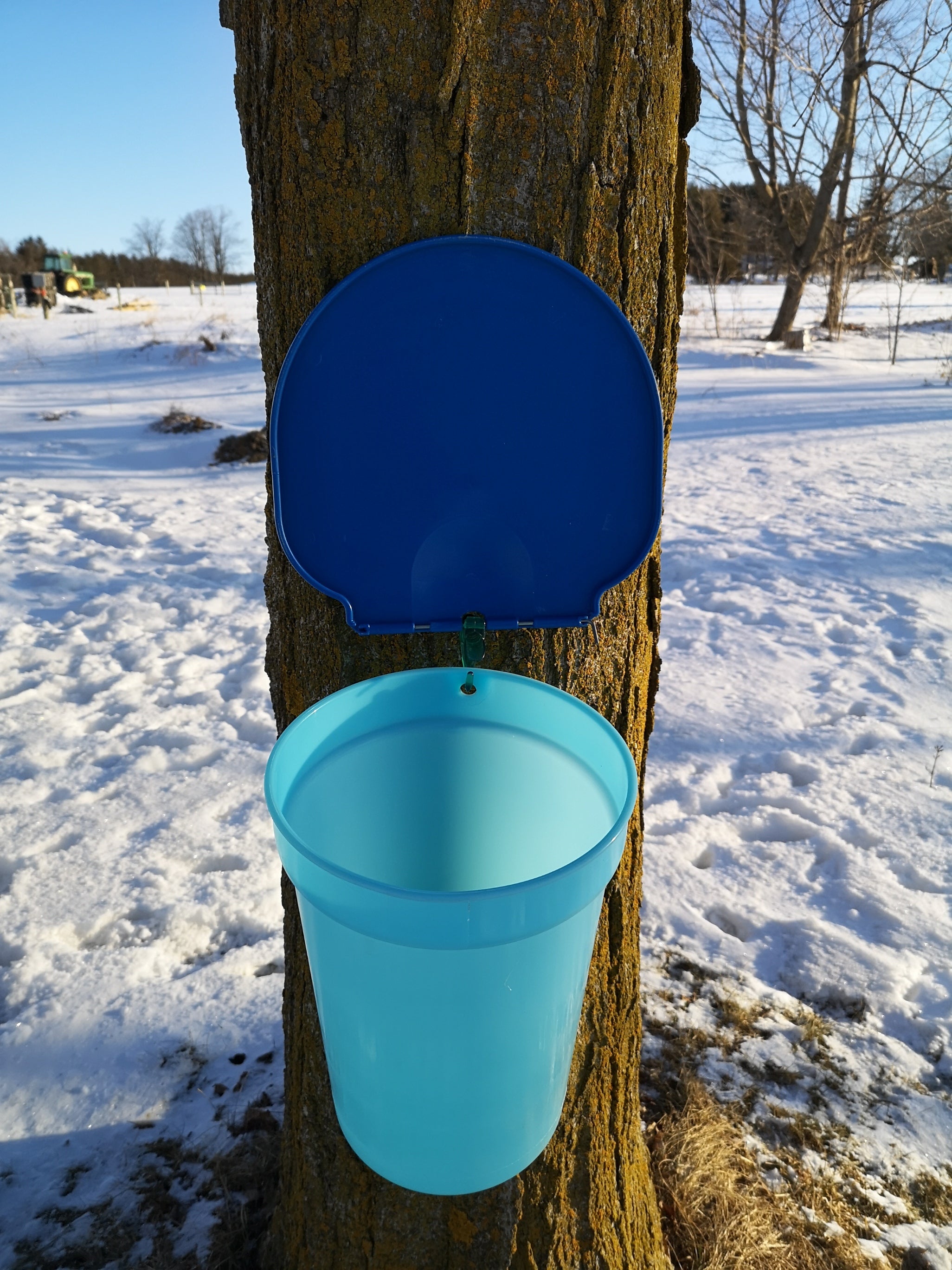 Sap Bucket 3 Gallon