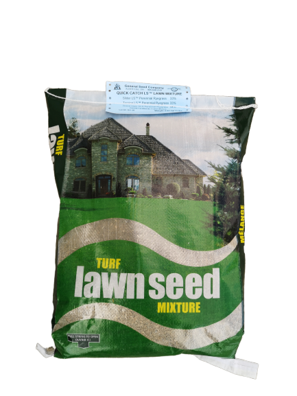 PARK & PLAY Grass Seed
