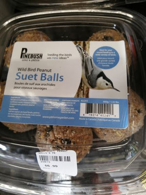 Wild Bird Peanut Suet Balls 6 pk