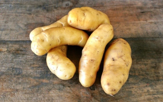 Seed Potato - La Ratte Fingerling - Sold by the Pound