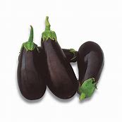 Classic Eggplant  4 Cell Pack