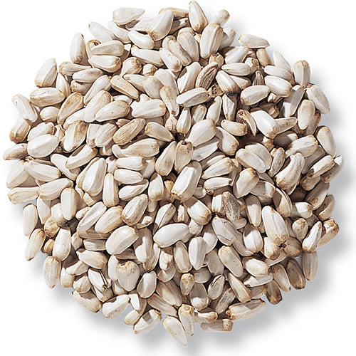 Safflower Seeds - Bird Feed