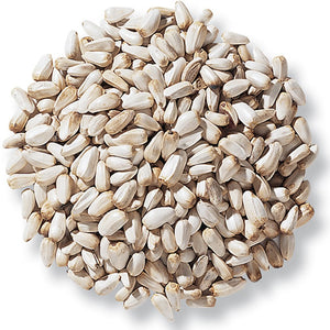Safflower Seeds - Bird Feed