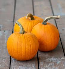 Small Sugar Pumpkin