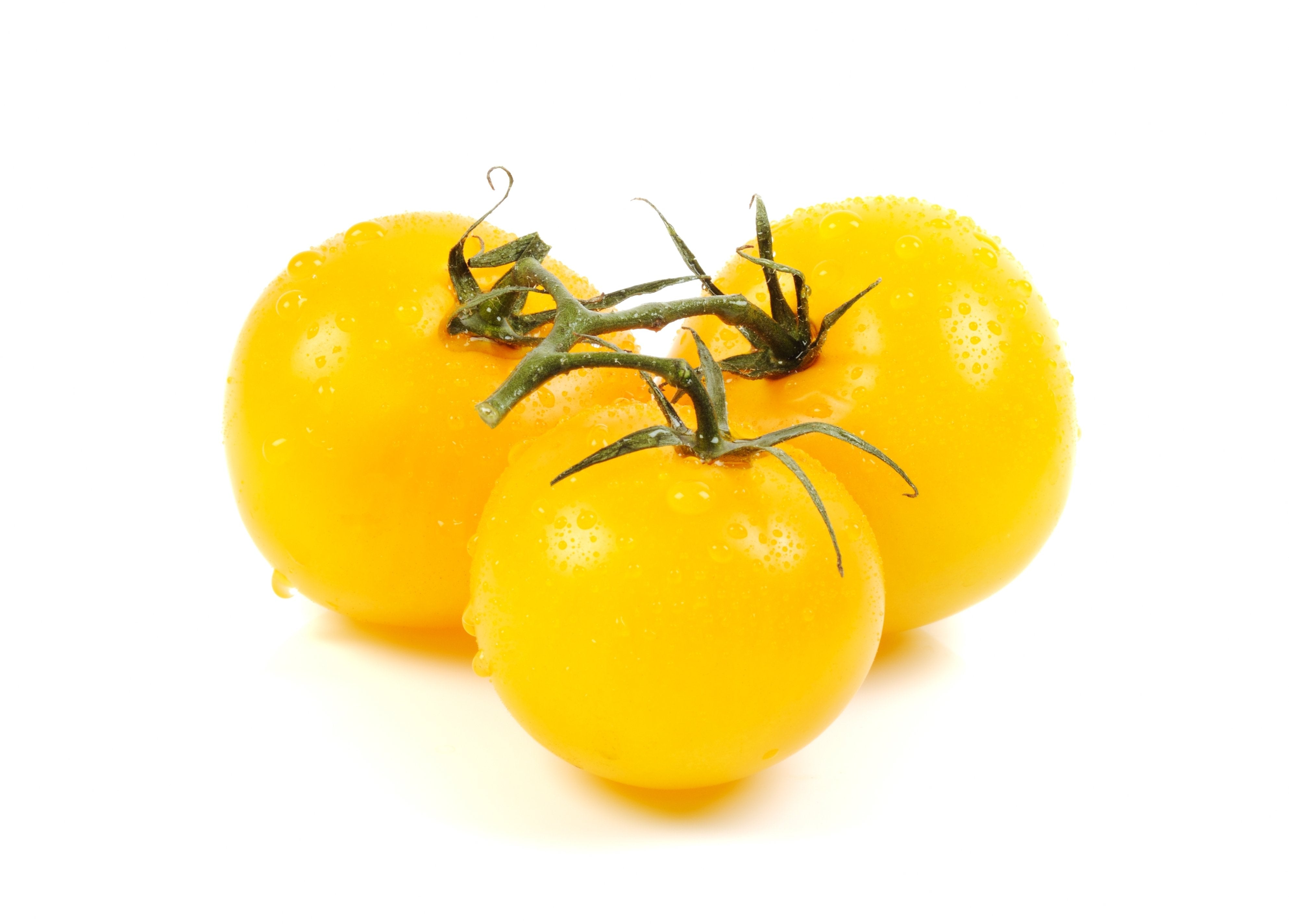 Tomato Plant - Lemon Boy
