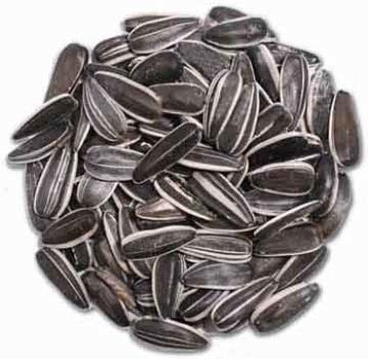 Striped Sunflower Seeds - Wild Bird Food