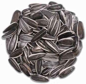 Striped Sunflower Seeds - Wild Bird Food