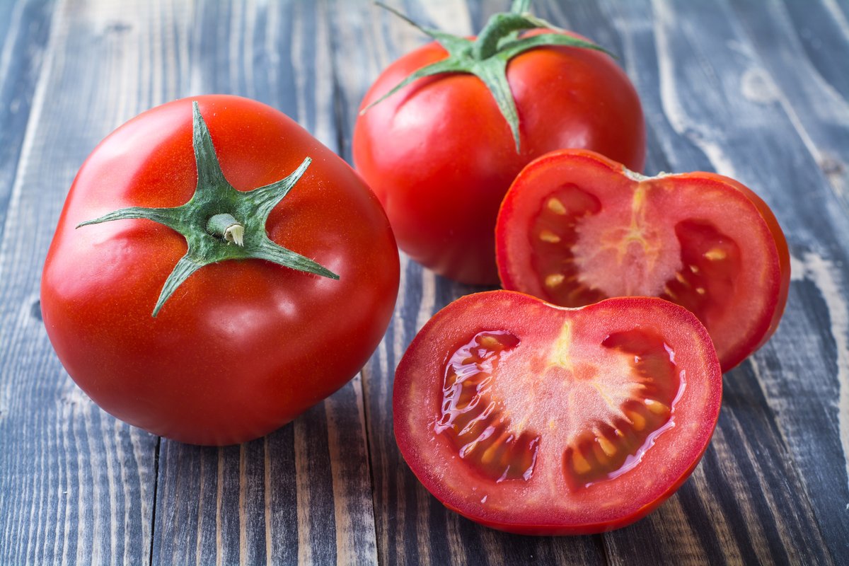 Tomato Plant - Better Bush