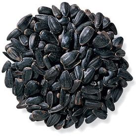 Black Oil Sunflower Seeds - Bird Feed