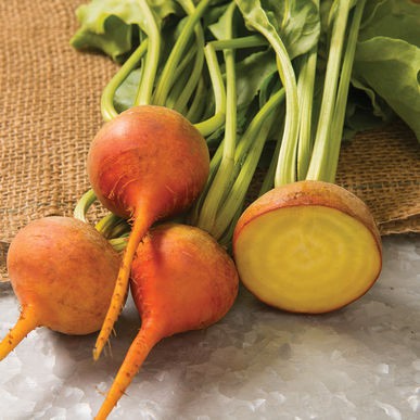 Bolder Yellow Beets