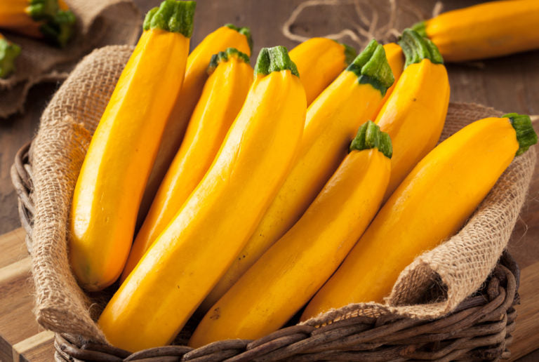 Golden Delight Zucchini