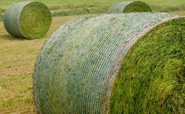 Rondotex® Evolution Round Bale Netwrap