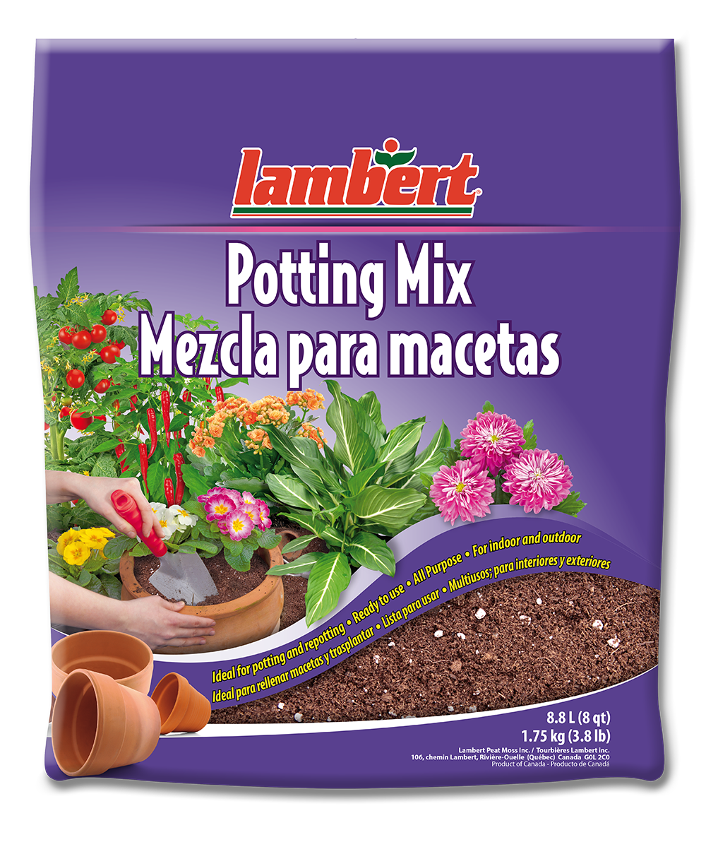 Lambert All Purpose Potting Mix 8.8 L (8 dry quarts)