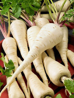 Harris Model Parsnip