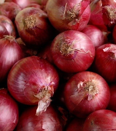 Red Onion Sets - Sold by the Pound