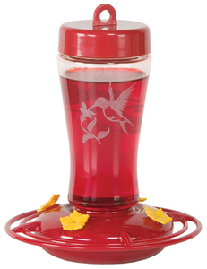 Etched Glass Hummingbird Feeder
