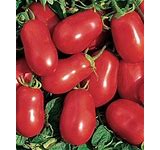 Red Roma Tomato