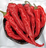 Hot Portugal Pepper