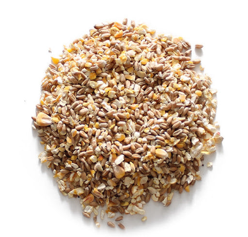 Scratch Grain - 25kg